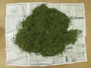 У 20-летнего жителя Дмитровского района нашли марихуану