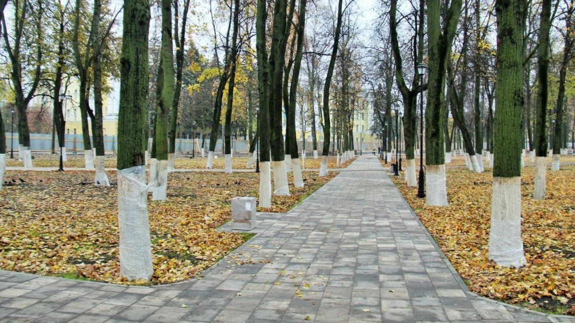 Планы поменялись: сквер перед главным корпусом ОГУ не сдадут раньше срока