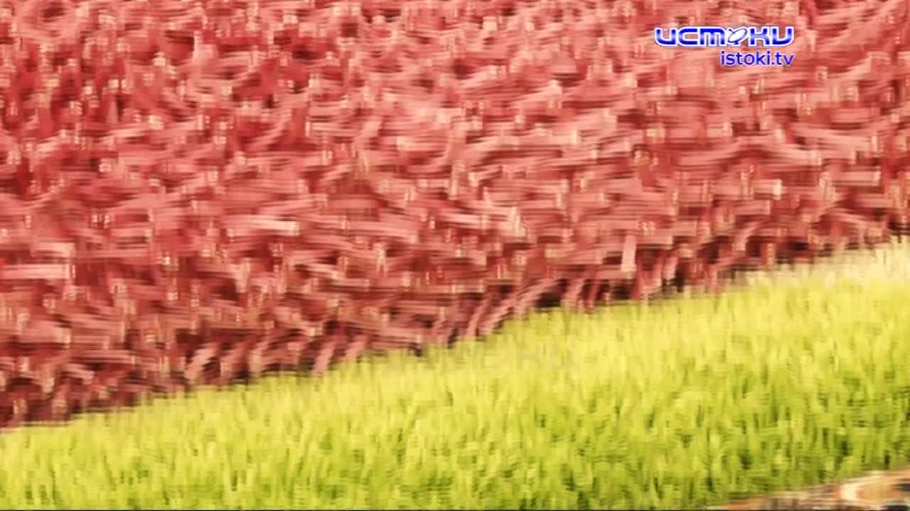 Залог хорошего настроения - уют в доме. Преображаем интерьер выгодно и со вкусом, а заодно готовим пушистый подарок к предстоящему празднику