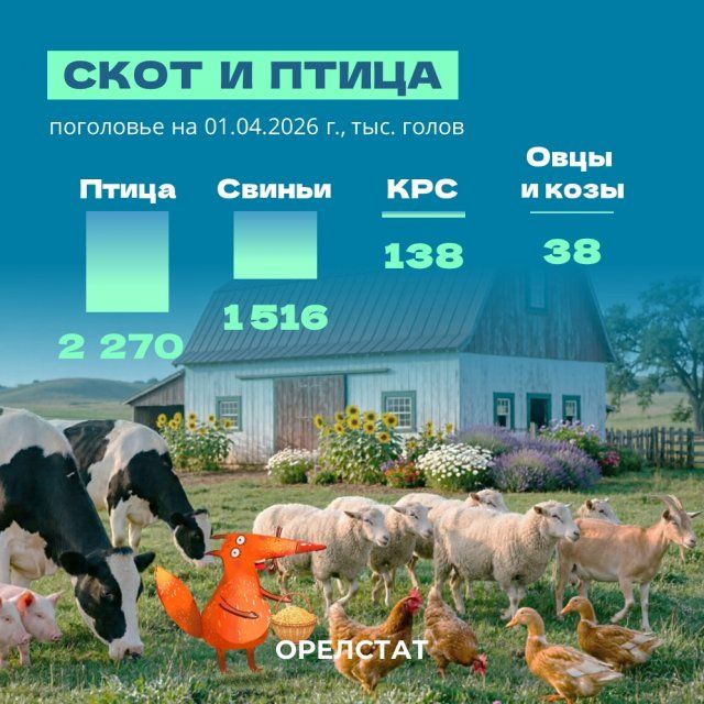 Животноводство в Орловской области: Орелстат подвел итоги 2025 года