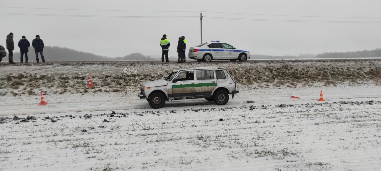 ДТП на орловской трассе: «Нива» улетела в кювет и перевернулась