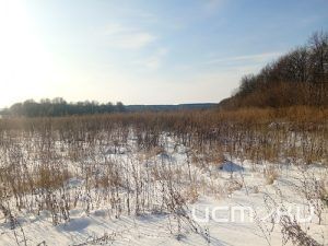 В Орловской области выявили зарастание сорняками более 1150 гектаров сельхозземель