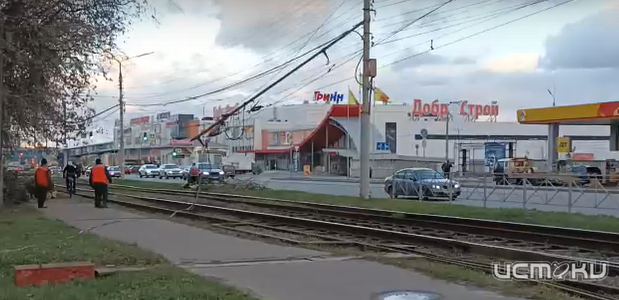 Упавшее дерево привело к задержке трамваев в Орле