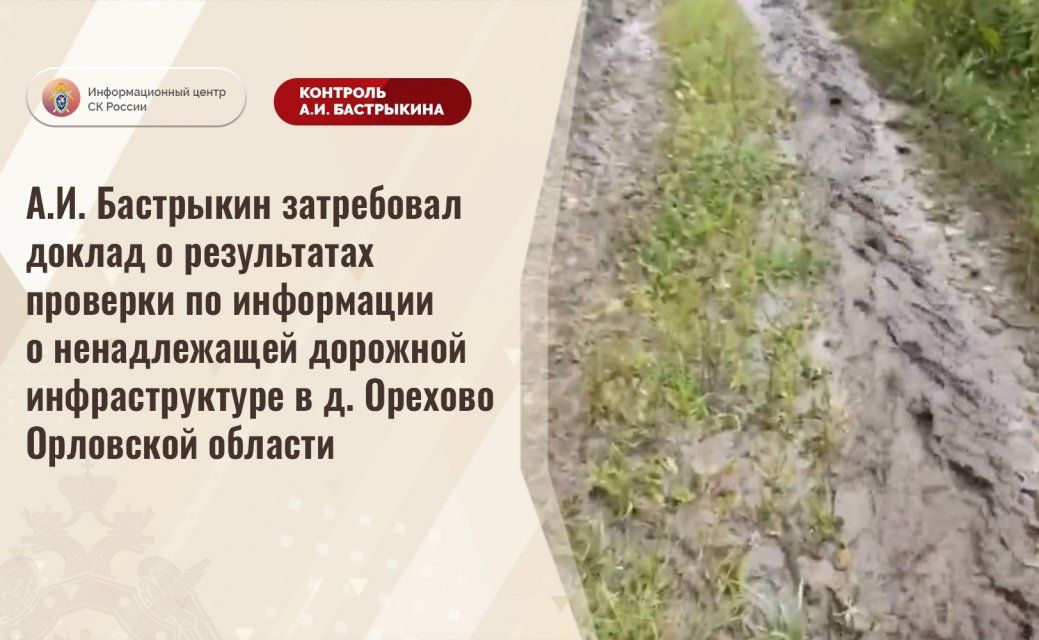 Туда не едете даже скорая: дело о дороге в орловской деревне дошло до Бастрыкина