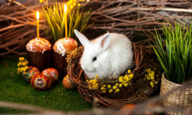 В Орловской области еще не решили как будет праздноваться Пасха