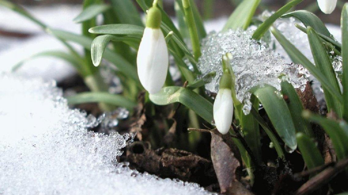 Синоптики рассказали, каким на Орловщине будет начало весны