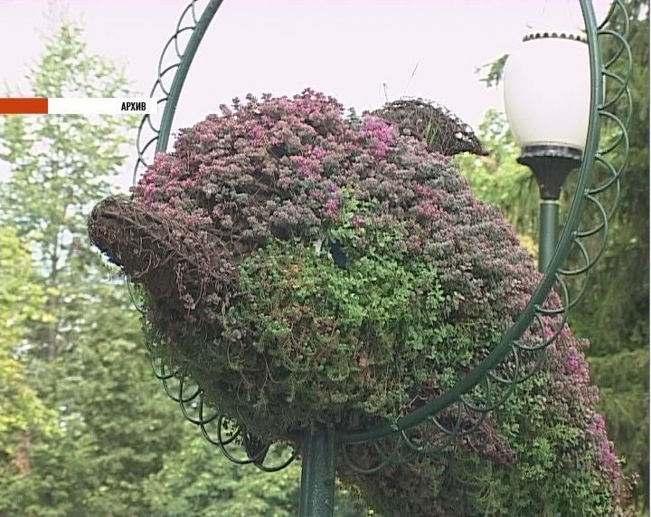 Эпопея с топиарными фигурами