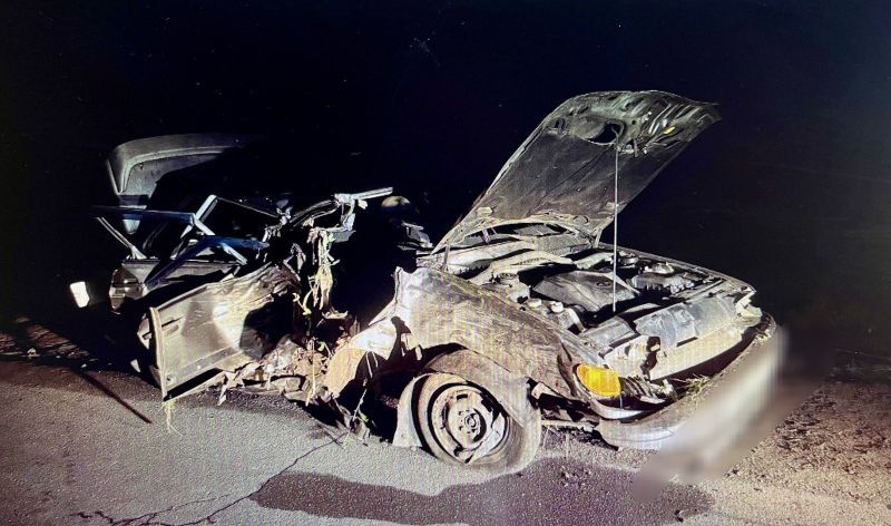 В Орловской области легковушка протаранила дерево. Погибла женщина