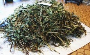 У жителя Хотынецкого района нашли наркотики