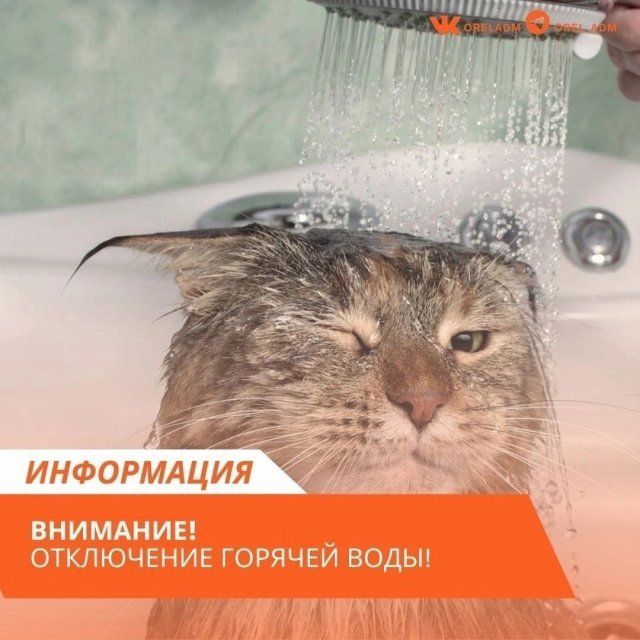 У орловчан вновь будет отключена горячая вода 