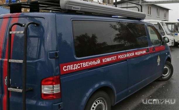 СК выяснит обстоятельства гибели трехлетней девочки в Ливенском районе