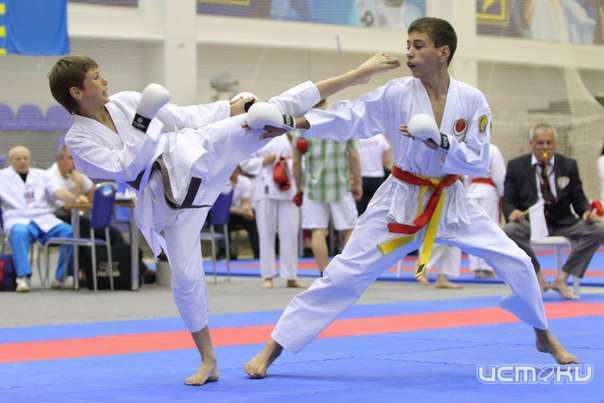 Первенство ЦФО по восточному боевому единоборству принесло три золота орловчанам