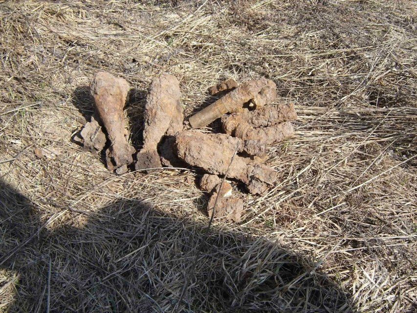 Несколько взрывоопасных предметов уничтожили орловские спасатели