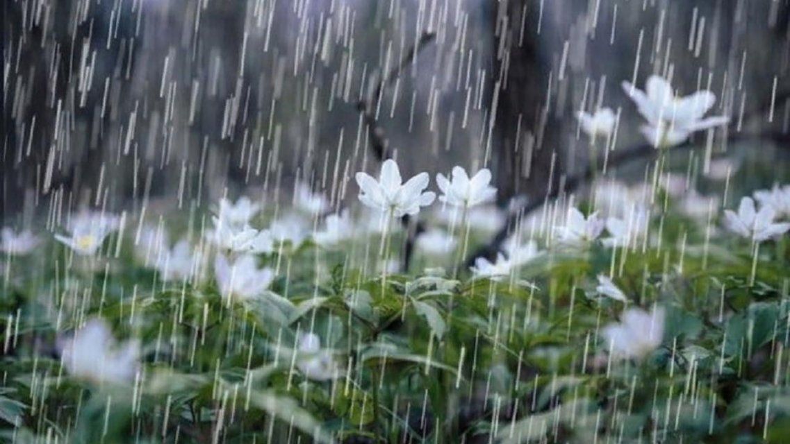 На Орловщине ожидаются грозы и град