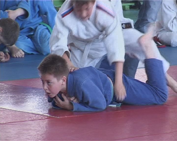 Открытое первенство города Орла по дзюдо