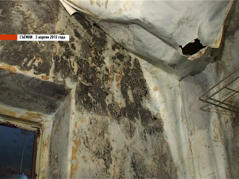  Кто спасет от дождя в квартире?