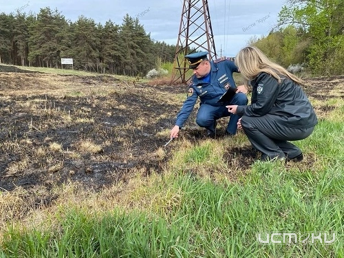 В Орловской области Управлением Россельхознадзора за 2024 год было выявило 17 свалок 