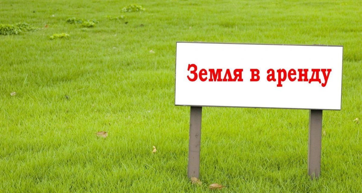 Чиновники в Свердловской районе незаконно сдали в аренду земельный участок под ремонтные мастерские