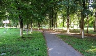 В Орле выберут подрядчика, который будет заниматься содержанием и благоустройством парков 