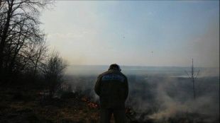 Орловские спасатели более 90 раз выезжали на возгорания сухой травы и мусора