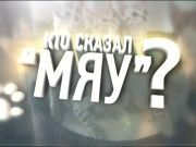 Кто сказал Мяу 76