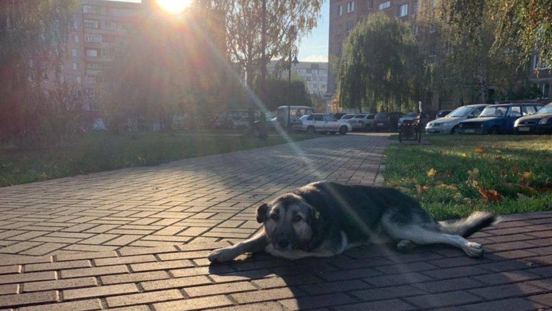 Погода в Орле на вторник