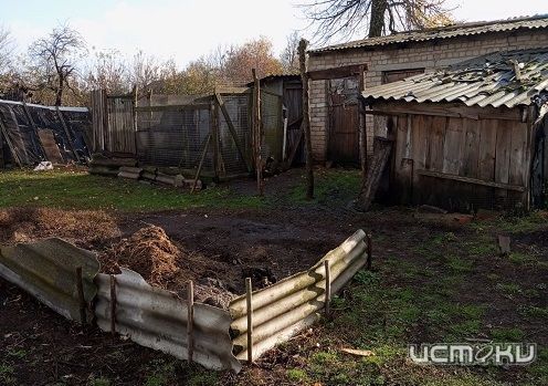Жители поселка в Орловской области пожаловались на антисанитарию Жители поселка в Орловской области пожаловались на антисанитарию