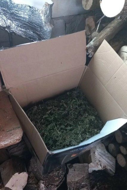 В Залегощенском районе полицейские изъяли у местного жителя более килограмма марихуаны