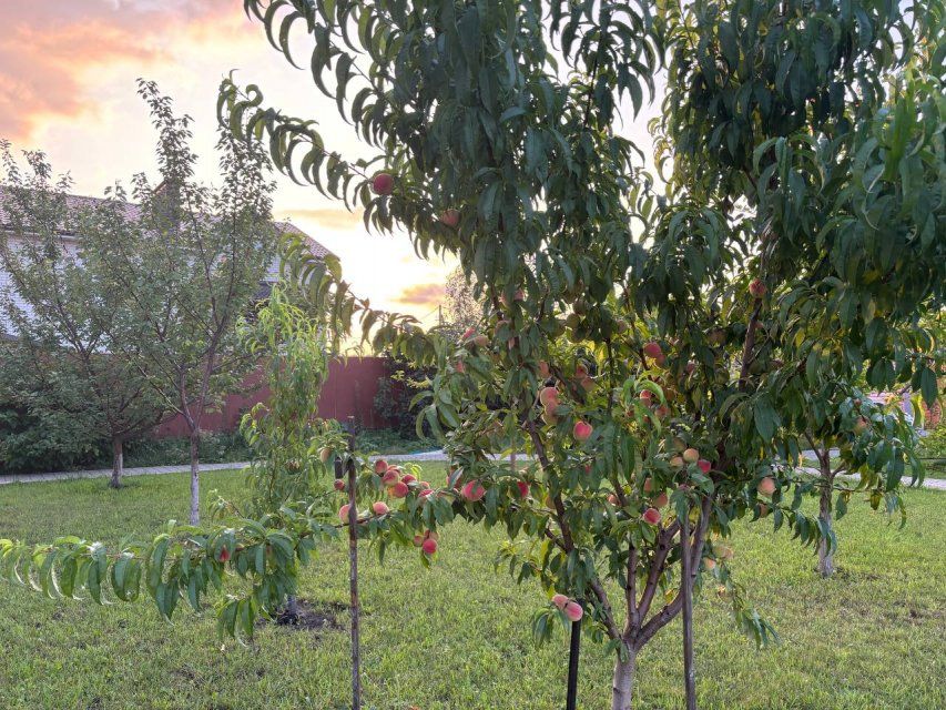 Специалисты Роскадастра по Орловской области рассказывают, что является нарушением земельного законодательства