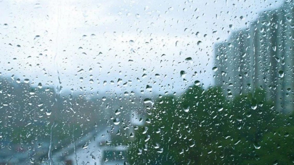 Совсем не зимняя погода: сегодня в Орле снова ожидается дождь