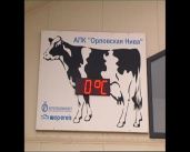 Новые тепличные комплексы и гранты фермерам: как в Орловской области будут развивать сельское хозяйство