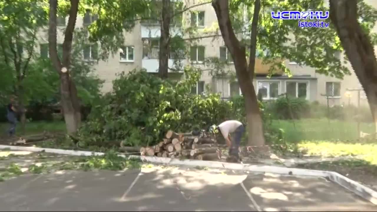 Бич этого года - повальный спил деревьев в Орле. Причём во многих местах он вызывает негатив у жителей. Сегодня мы расскажем случай, когда мнения жите...