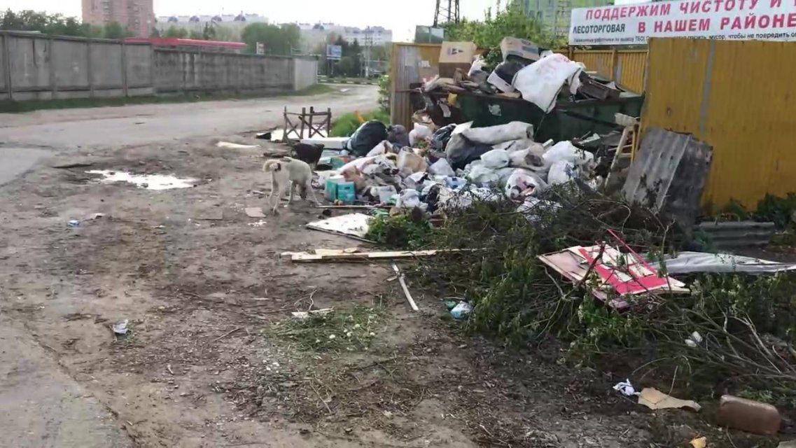Источник зловония: прокуратура обратила внимание на свалку хлама в Орле