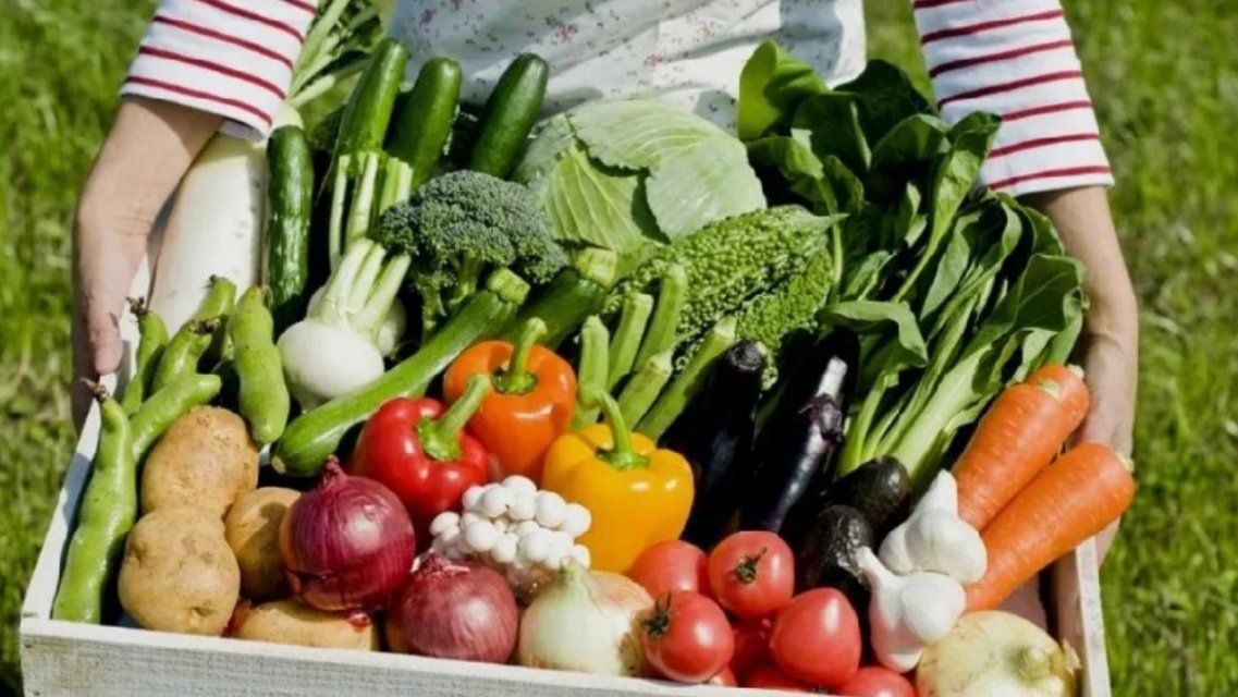 Смотр трудолюбия: на Орловщине объявлен конкурс «Ветеранское подворье»