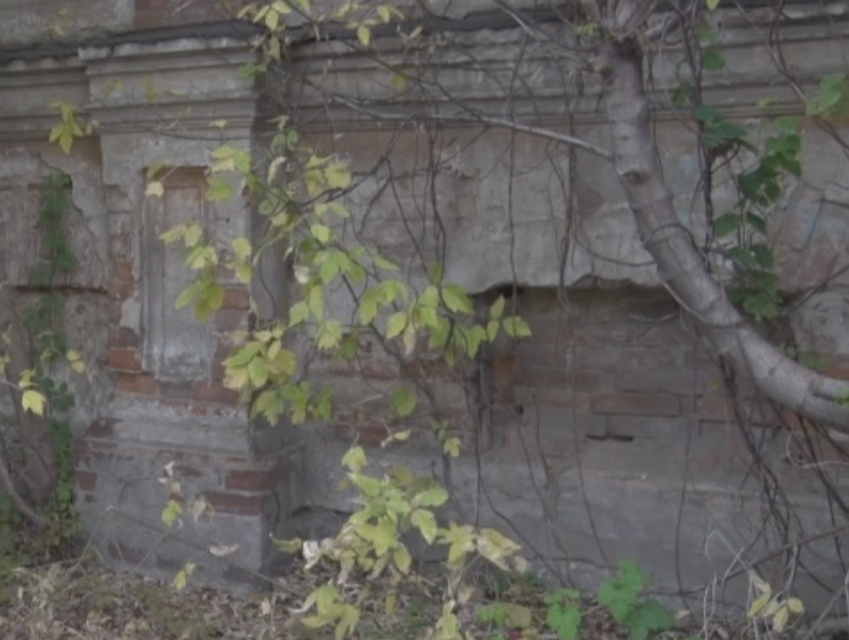 Выдачу заключения на акт государственной историко-культурной экспертизы земельного участка теперь можно забрать в МФЦ