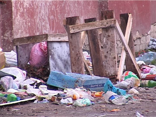 Орловчане не следят за санитарным состоянием городских улиц