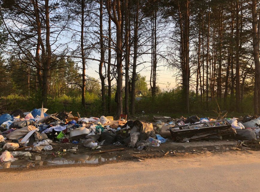 За свалку возле Светлой Жизни в Орле наказали главу горадминистрации и начальника УКХ