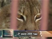 Ретро новости 01.07.2014