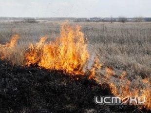 Весенние опасности