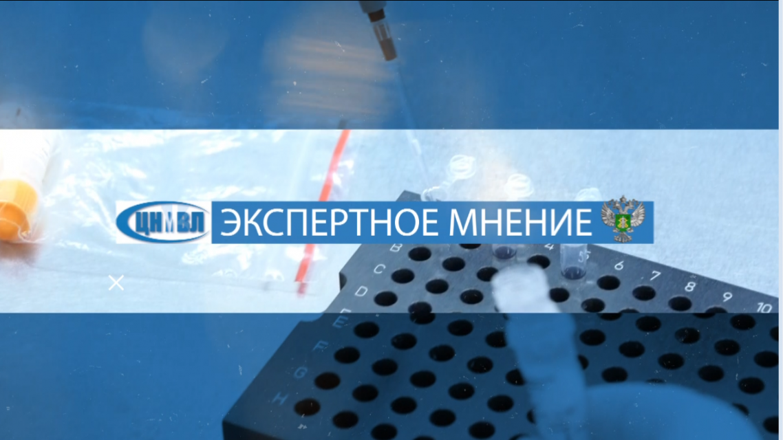 Сегодня на телеканале "Истоки" после выпуска новостей смотрите программу «Экспертное мнение»