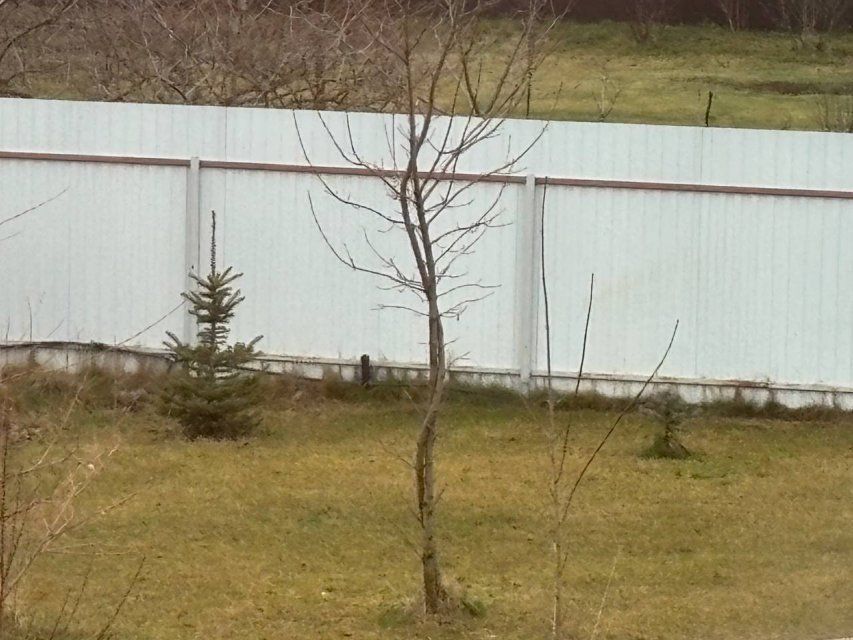 "Спецавтобаза" старательно убирает орловские дороги.