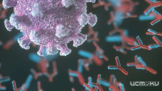 Коллективный иммунитет на Орловщине растет