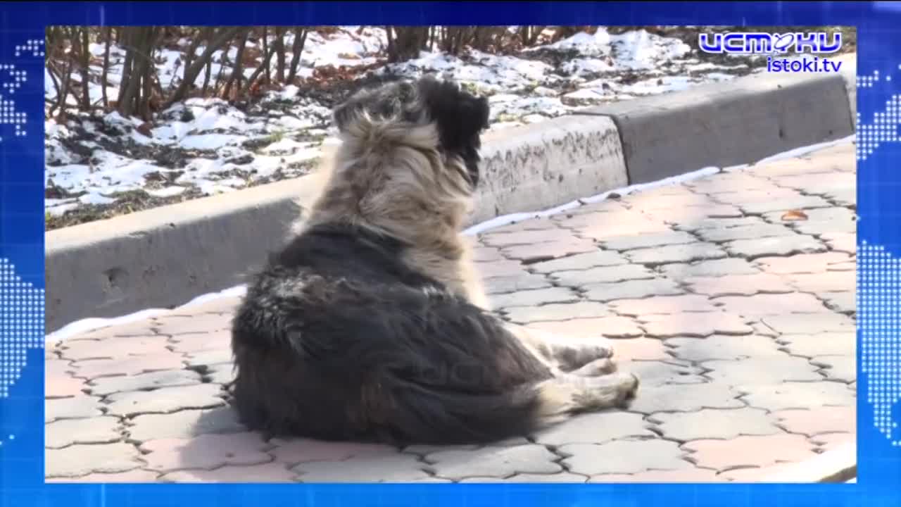 В эту пятницу Орел ждет большое событие-премьера фильма "Гостишка"