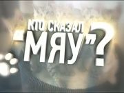 Кто сказал Мяу 21