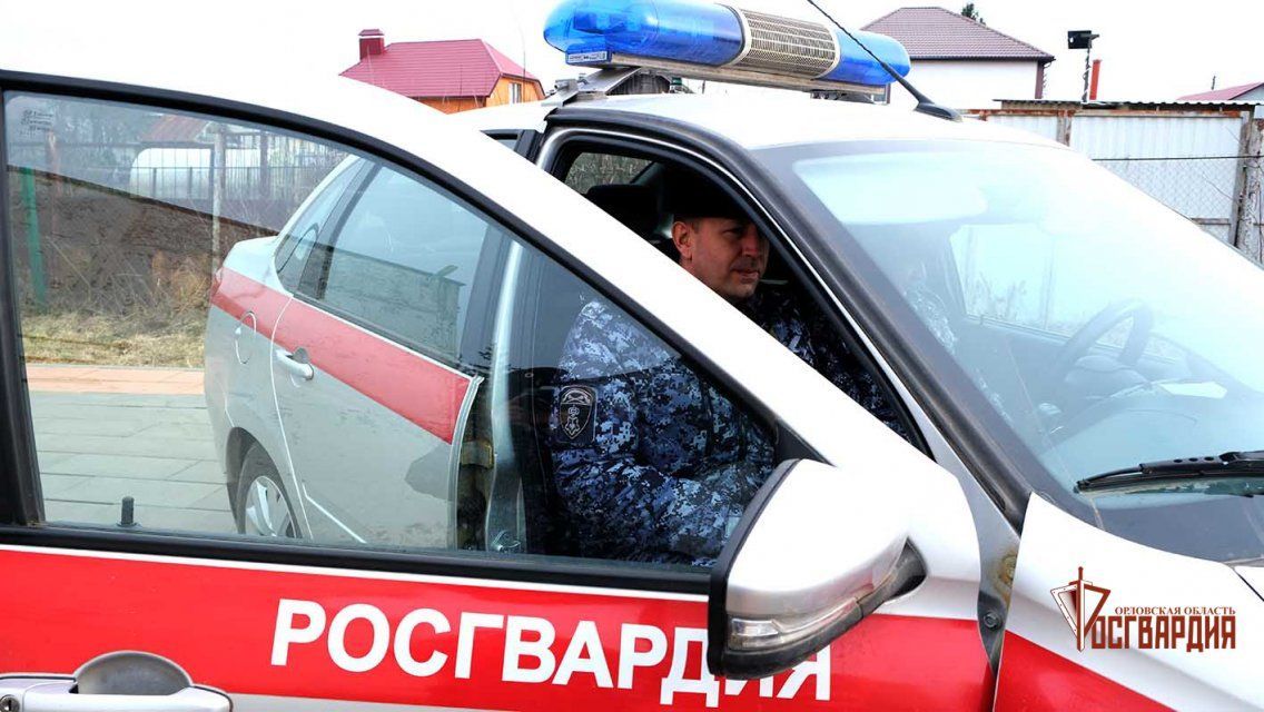 В Орле росгвардейцы задержали двух мужчин, подозреваемых в неоднократных кражах из магазинов 
