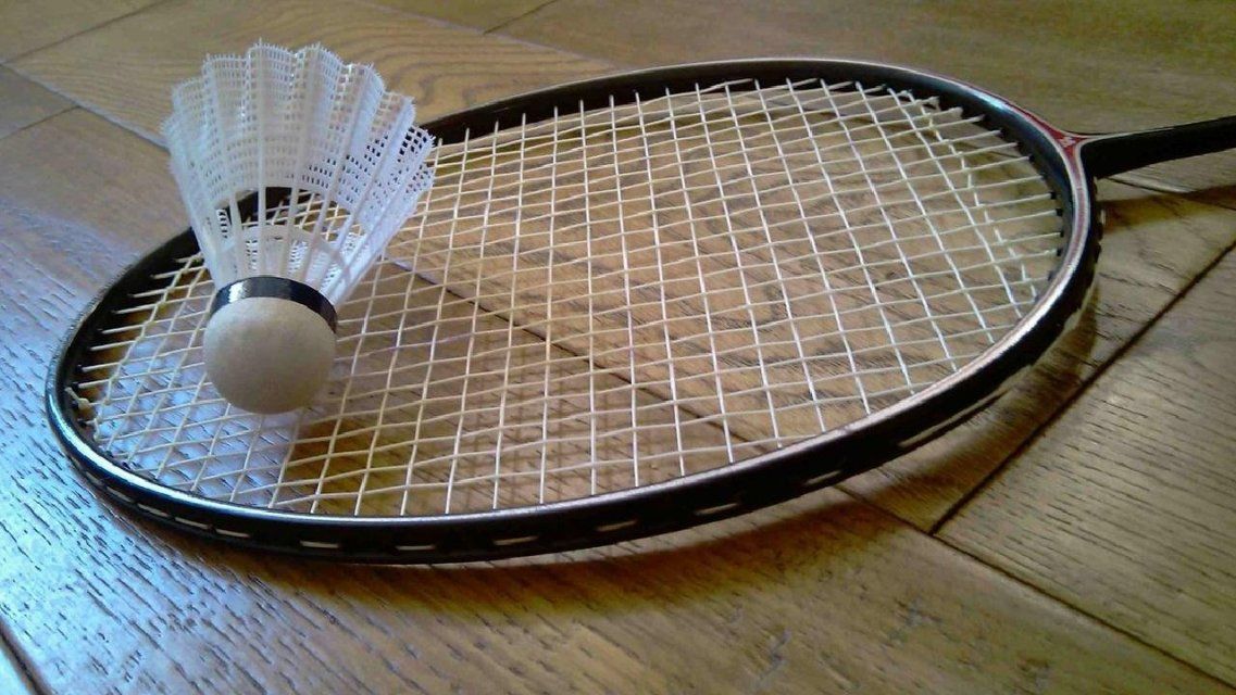В 10 школах Орловщины будут бороться с близорукостью детей с помощью бадминтона