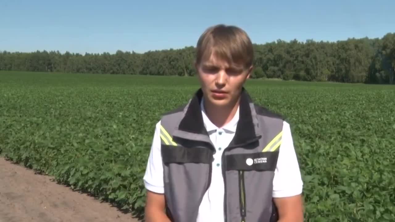 Клубы и секции самбо появятся во всех районах Орловской области