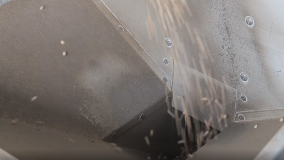 Почему важно проверять посадочный материал на сортовые и посевные качества