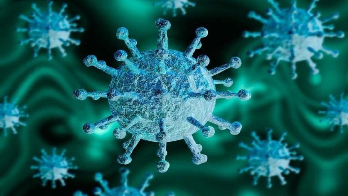 Замалчивают или никак не наладят работу? На Орловщине с трудом просачиваются данные о коронавирусе