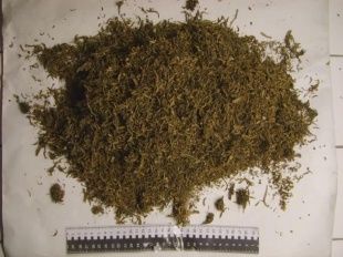 У 38-летнего орловчанина нашли сверток со «спайсом»